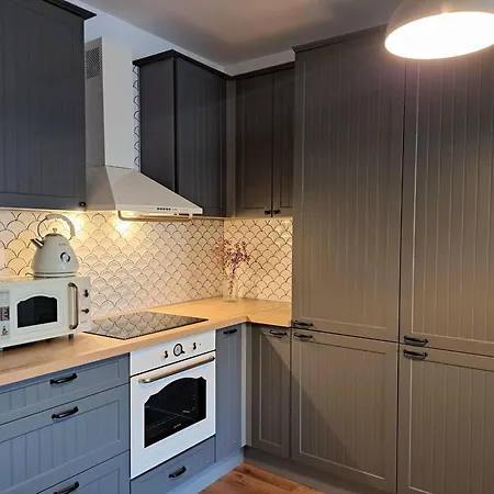 Cozy Provence In Centre Of Apartment Nitra